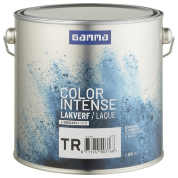 Gamma Color Intense Binnenlak Zijdeglans Liter Gamma