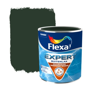 Flexa Expert buitenlak dennengroen hoogglans 750 ml