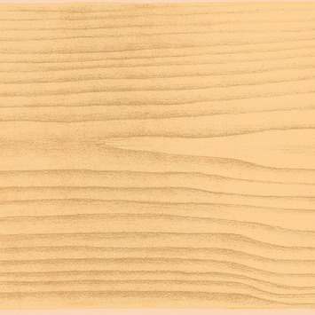 Rambo pantservernis kleurloos hoogglans 750 ml