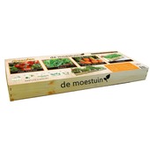 Wonderbaar GAMMA | Moestuin Groenten: Mini tomaten, Rucola, Parijse HS-32