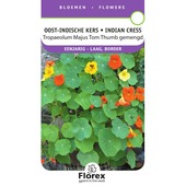 Oost indische kers kopen