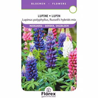 Lupine Zaadjes