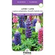 Lupine Zaadjes