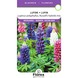 Lupine Zaadjes