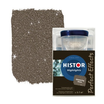 Vroegst Norm cascade GAMMA | Histor Perfect Effects Highlights muurverf transparant glimmer  stone 750 ml kopen? 