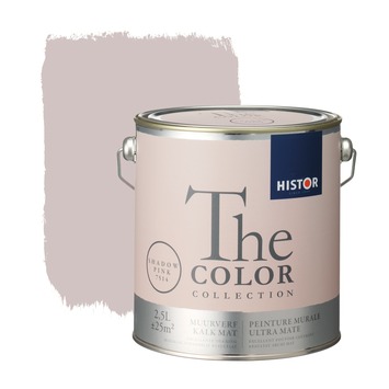 gemeenschap Raad Paradox GAMMA | Histor The Color Collection muurverf shadow pink 2,5 liter kopen? 