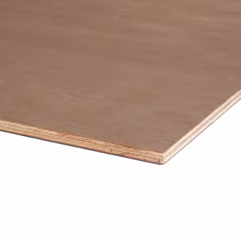 Multiplex hardhout superieur 122x61 cm 12 mm exterieur verlijmd