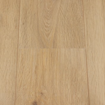 GAMMA | Elan Naturel Eiken 8 mm 2,13 m2 kopen?