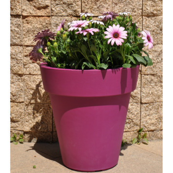 GAMMA | Bloempot Amarant fuchsia 30x30 cm kopen? |