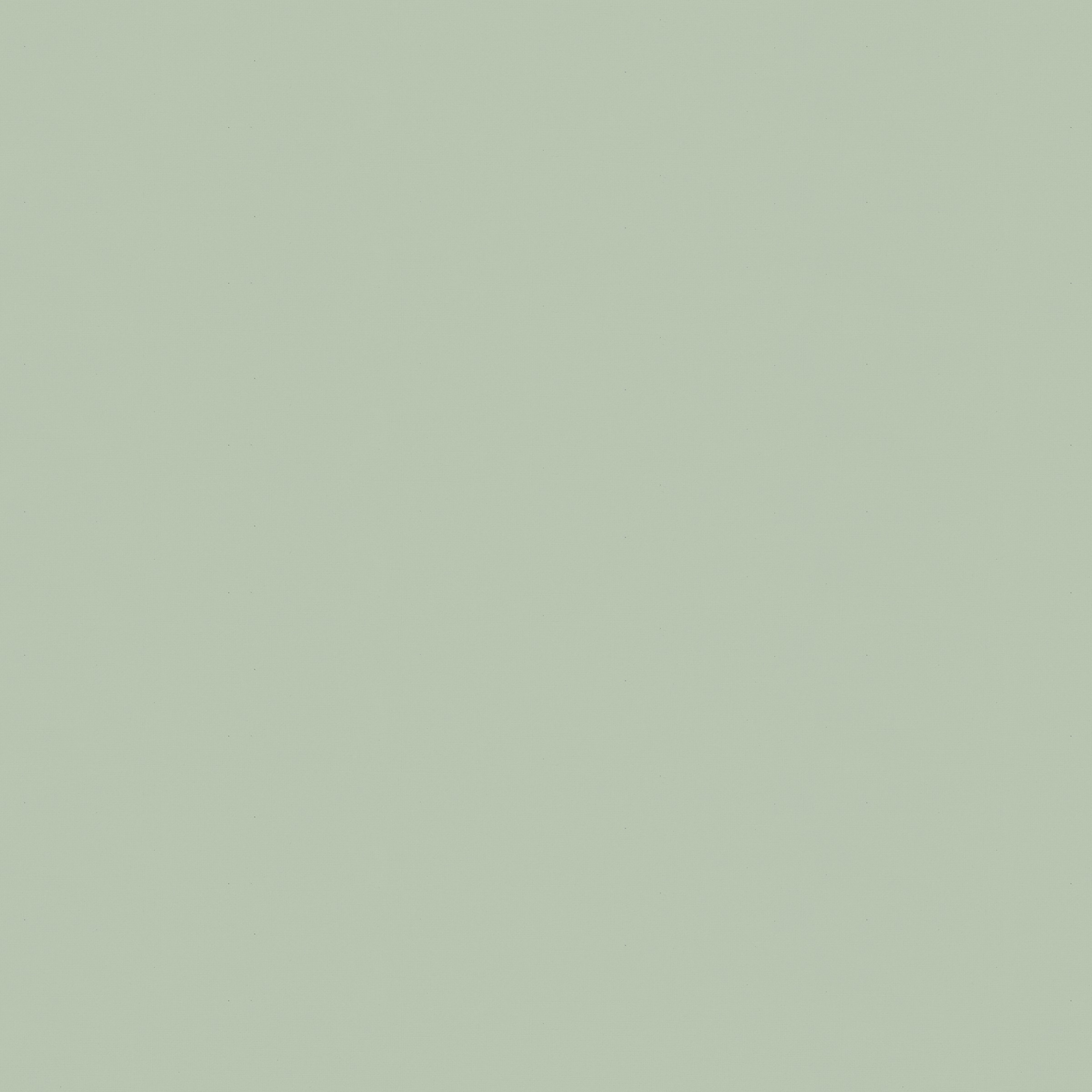 Superfresco Easy Vliesbehang Uni Groen 101818 superfresco easy kopen in de aanbieding