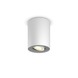 Philips Hue White ambiance Pillar spotlamp