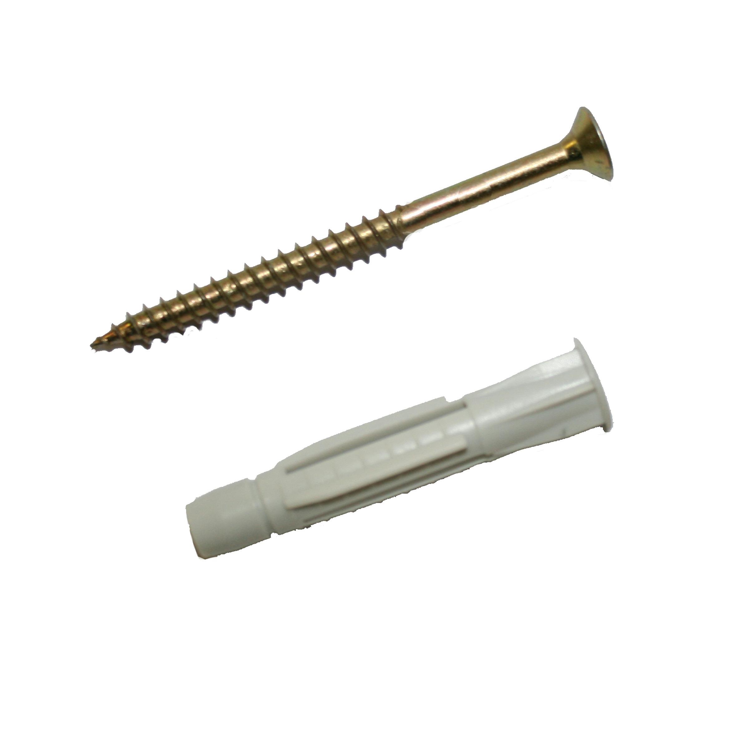 Gamma Universeelplug 10 Mm Met Schroef 6X80 Mm Verzinkt 5 Stuks gamma kopen in de aanbieding