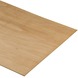 Multiplex hardhout voor binnen 122x61cm 8mm