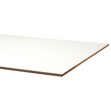 Roest waarom Dusver GAMMA | MDF wit lakdraagfolie 244x122cm 18mm kopen? | mdf-platen