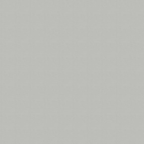 Vliesbehang Lynn zilver grijs 103445