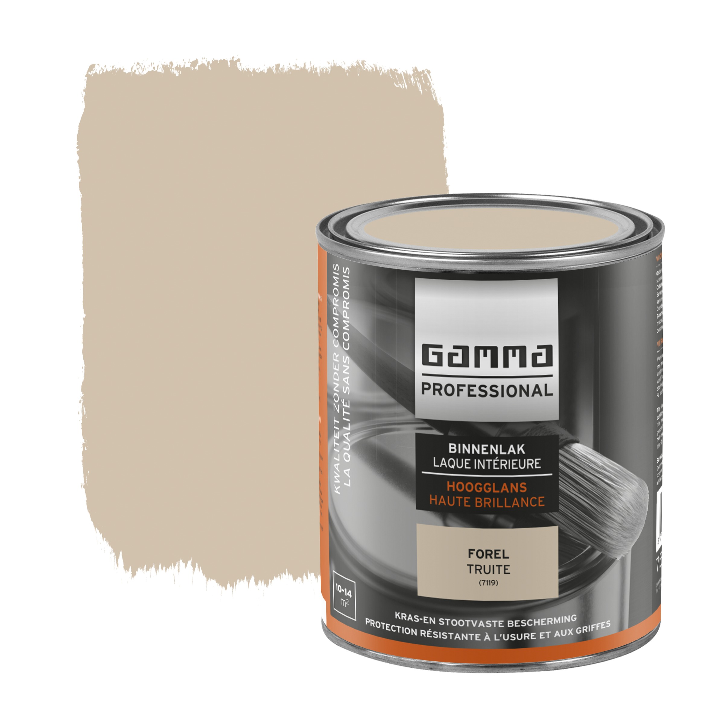 Gamma Professional Binnenlak Hoogglans Forel 750 Ml gamma professional kopen in de aanbieding