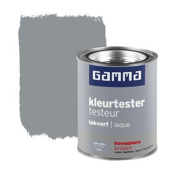 GAMMA lakverf voor buiten kleurtester zink grijs hoogglans 100 ml