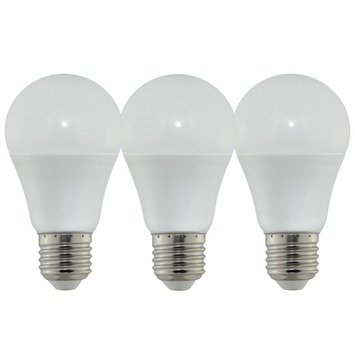 leerboek verkwistend Materialisme GAMMA | OK LED lamp globe E27 6 watt 3 stuks kopen? | tl-buizen