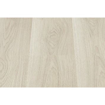 Mysterieus Rang schaduw GAMMA | Flooring Laminaat Grijs Eiken 6 mm 2,92 m² kopen? | laminaat