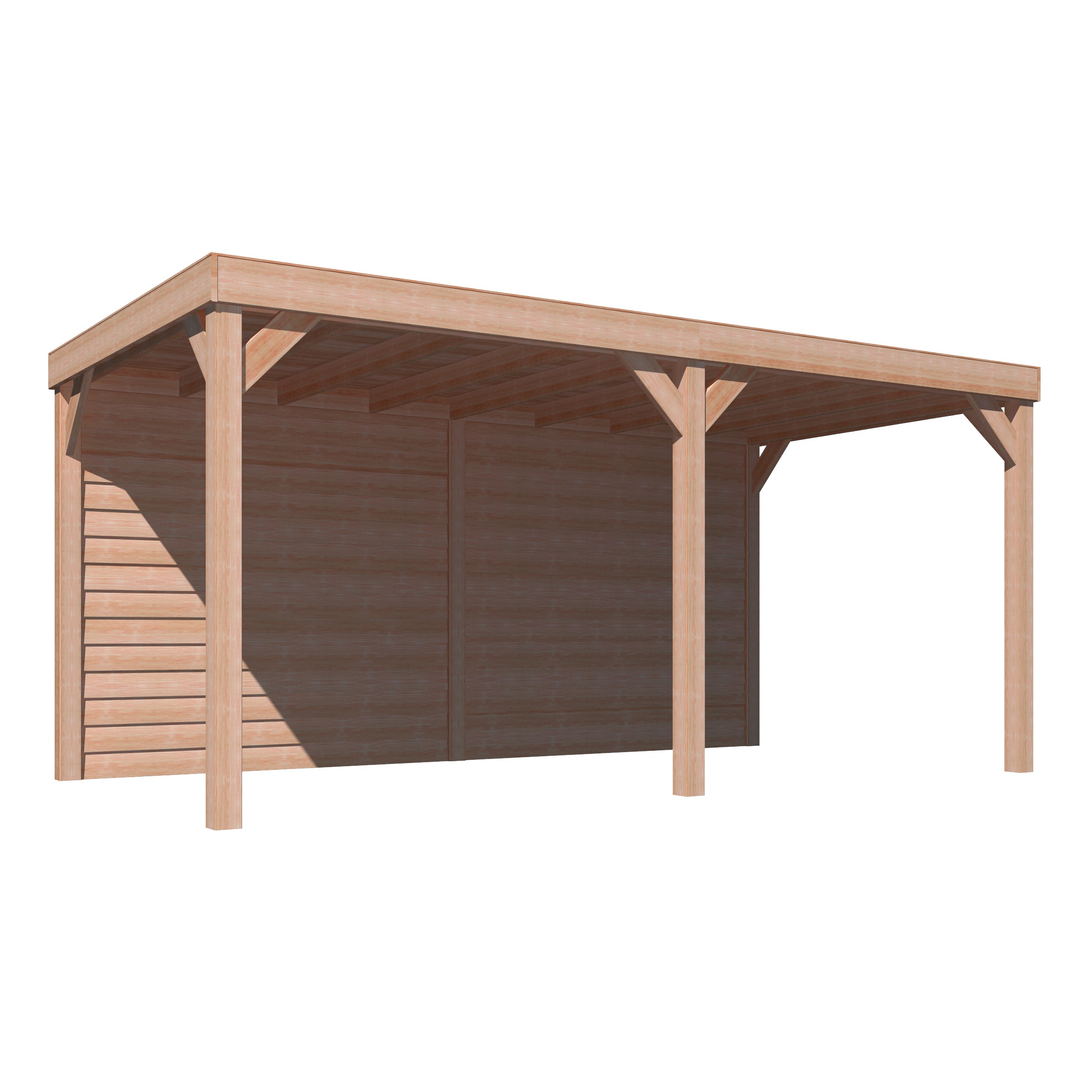 Overkapping Douglas Hout Blank Met Achterwand 270X522 huismerk kopen in de aanbieding