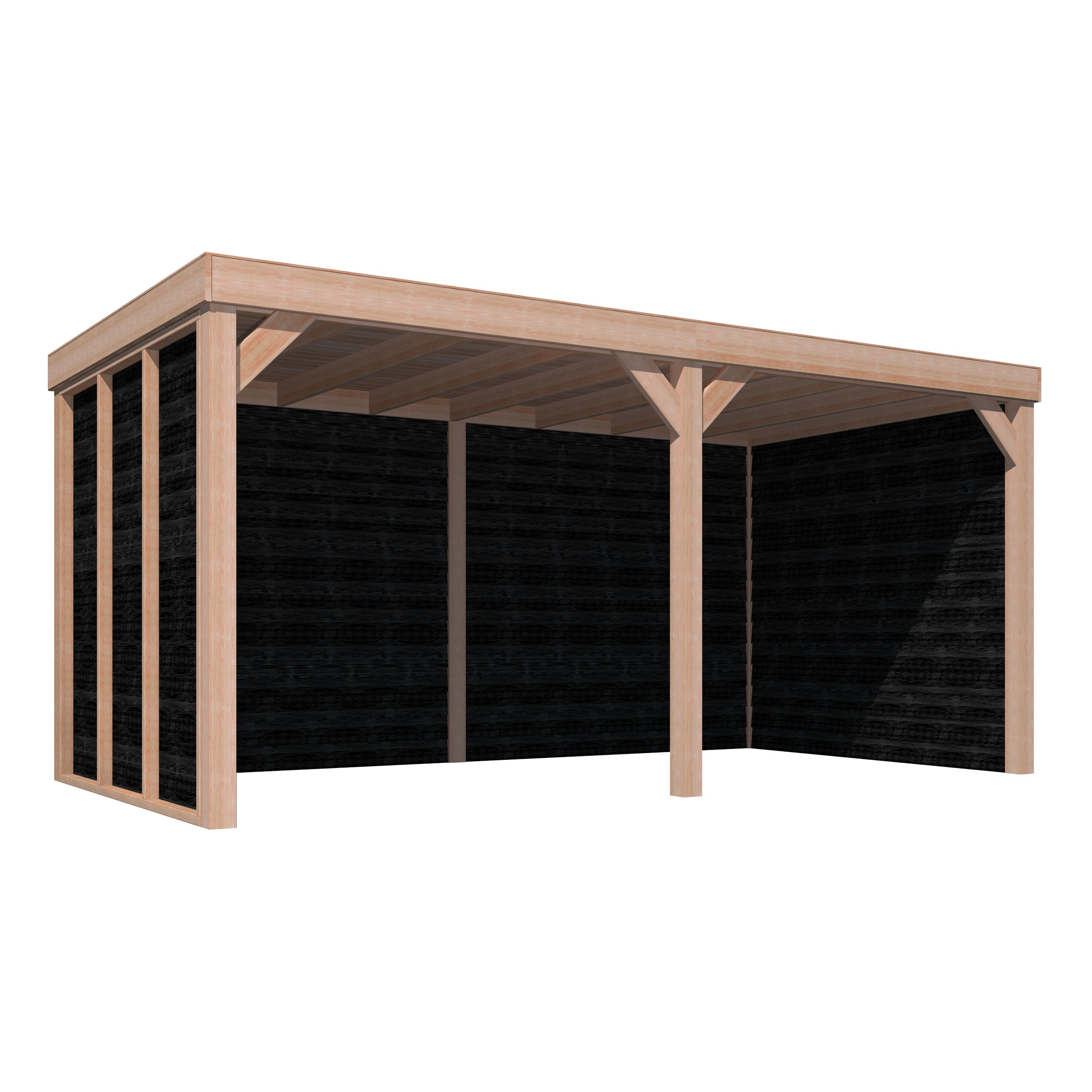 Overkapping Douglas Hout Zwart Met Achterwand En 2 Zijwanden 270X522 huismerk kopen in de aanbieding