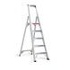 Altrex enkel oploopbare trap Sierra Prof 5 treden