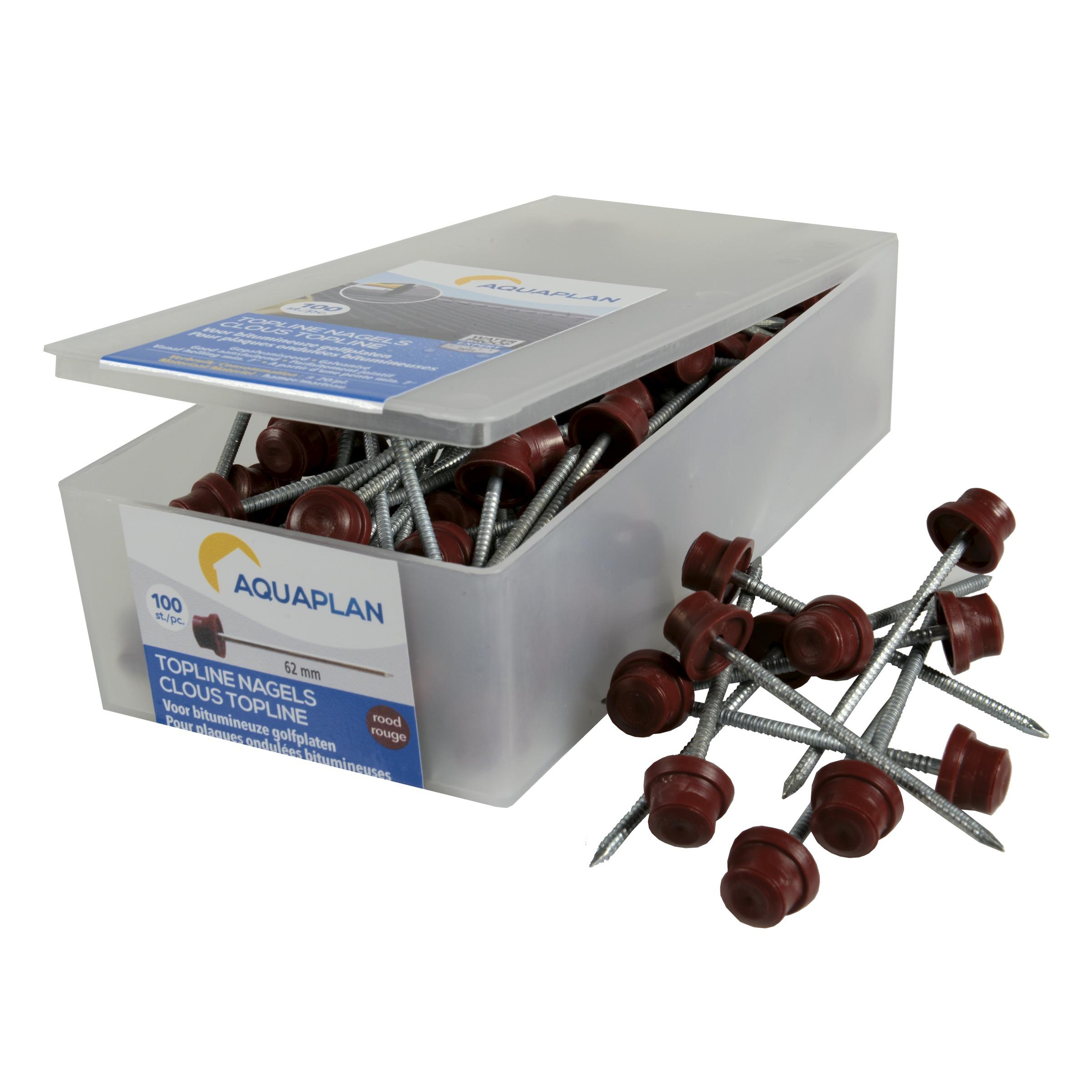 Aquaplan Topline Nagels Verzinkt Rood 100 Stuks aquaplan kopen in de aanbieding