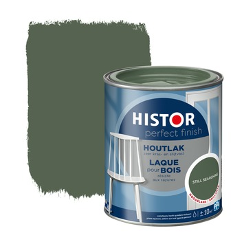 salade Faculteit veelbelovend GAMMA | Histor Perfect Finish houtlak still searching hoogglans 750 ml  kopen? | binnenlak