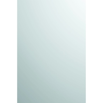 Plieger Spiegel Rechthoek 60x40 cm