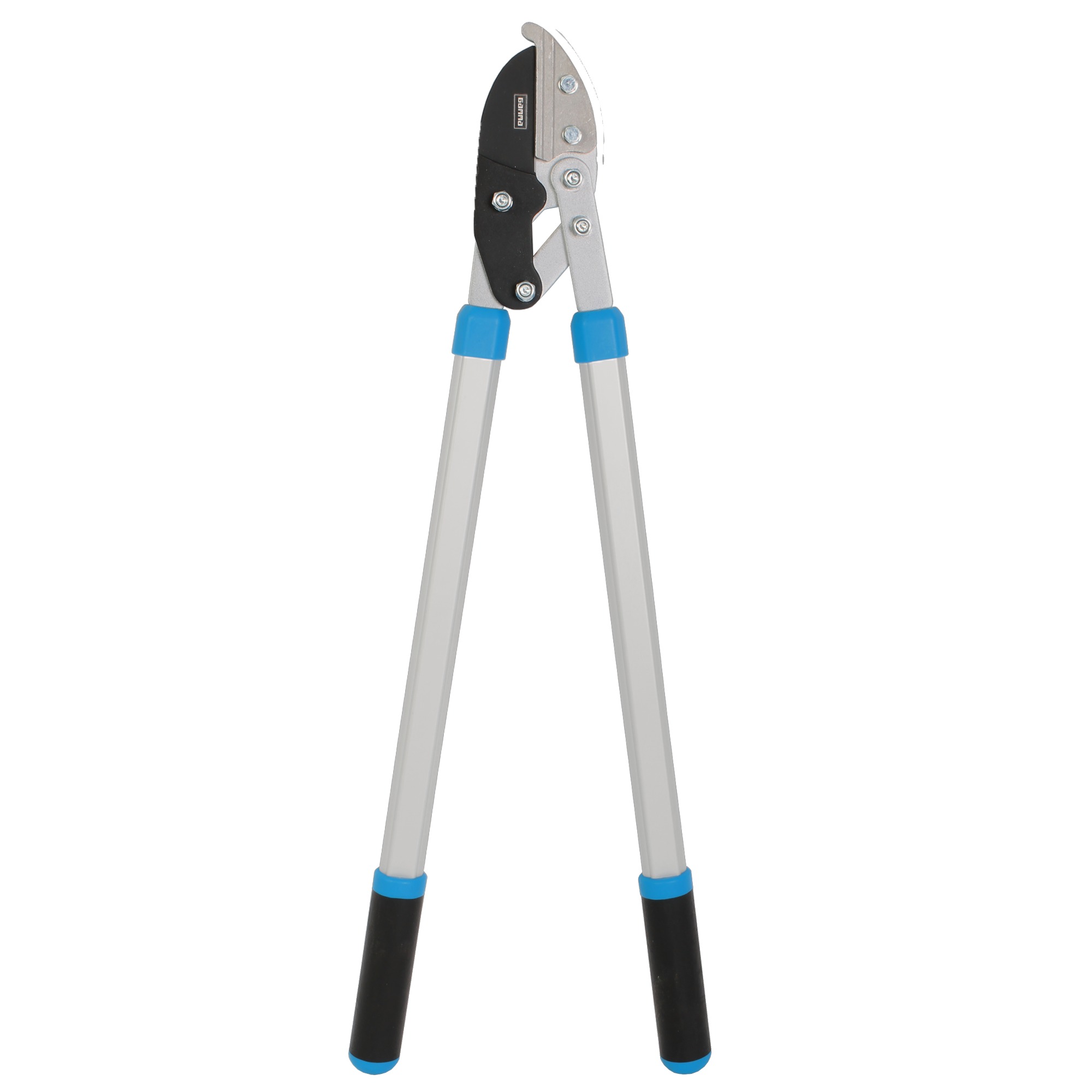 Gamma Takkenschaar 75 gamma kopen in de aanbieding