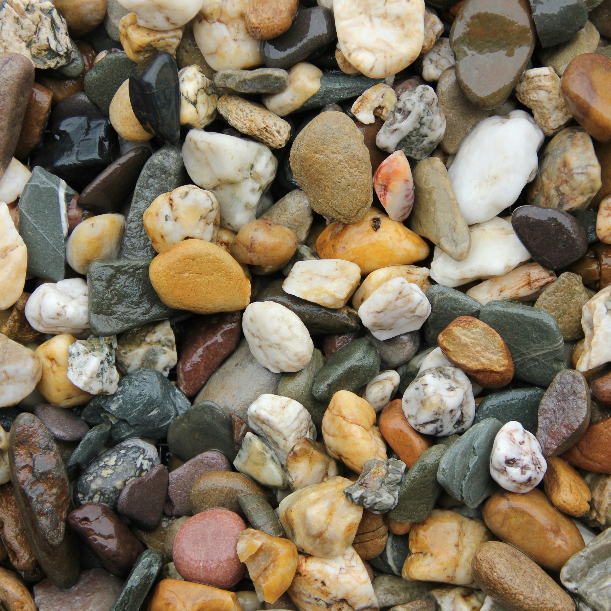 Grind Bont Rond 16 32 Mm Per Zak A 15 Kg huismerk kopen in de aanbieding