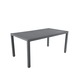 Tafel Livorno Antraciet 160x90 cm