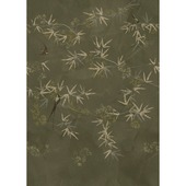 Fotobehang birds of paradise (dessin 107342)