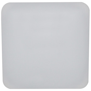 GAMMA plafondlamp Savannah Led 12W warm wit