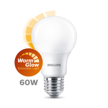 Tijdig Consumeren bladeren GAMMA | Philips LED lamp E27 Warm glow dim 60 watt kopen? 