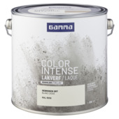 GAMMA color intense binnenlak hoogglans 2,5  L RAL 9010
