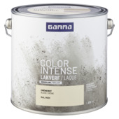 GAMMA color intense binnenlak hoogglans 2,5 L RAL 9001