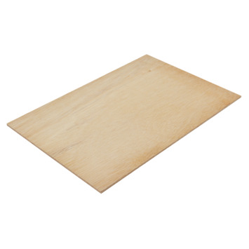 GAMMA Multiplex timmerplaat 8 mm 122x61 cm kopen GAMMA Multiplex timmerplaat 8 mm 122x61 cm kopen
