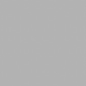 Kleurstaal GAMMA aluminium jaloezie 25 mm zilver (221)