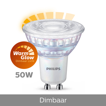 Spektakel Bloeden volwassen GAMMA | Philips LED spot GU10 50W warmglow dimbaar kopen? 