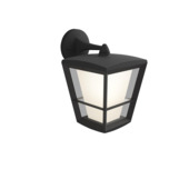 Philips Hue outdoor buitenlamp Econic zwart down