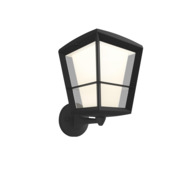 Philips Hue outdoor buitenlamp Econic zwart up