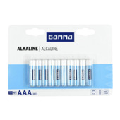 GAMMA Batterij Alkaline AAA 10 stuks