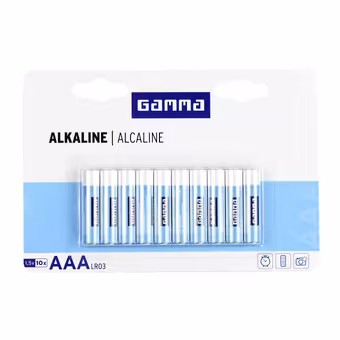 GAMMA Batterij Alkaline AAA 10 stuks