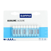 GAMMA Batterij Alkaline AAA 10 stuks