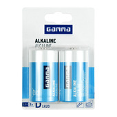 GAMMA Batterij Alkaline D 2 stuks