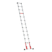 Vouwen Astrolabium Misverstand GAMMA | Altrex telescoopladder Smart Up Go 13 treden kopen? | ladders -trappen