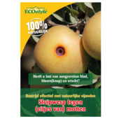 Sluipwesp tegen eitjes van motten