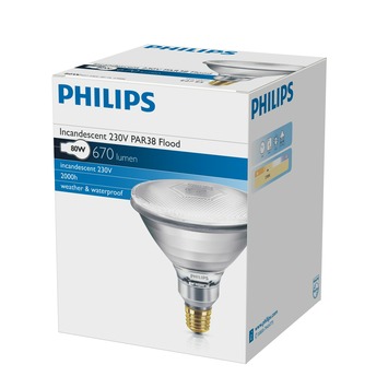 een andere Word gek Dynamiek GAMMA | Philips persglas lamp E27 80W PAR38 kopen? 