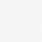 Renovatievlies overschilderbaar uni wit 7800 130gr - 25m